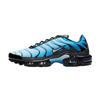 Light Blue TNs