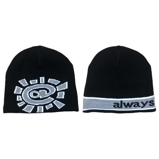 ADWYSD Silver Beanie